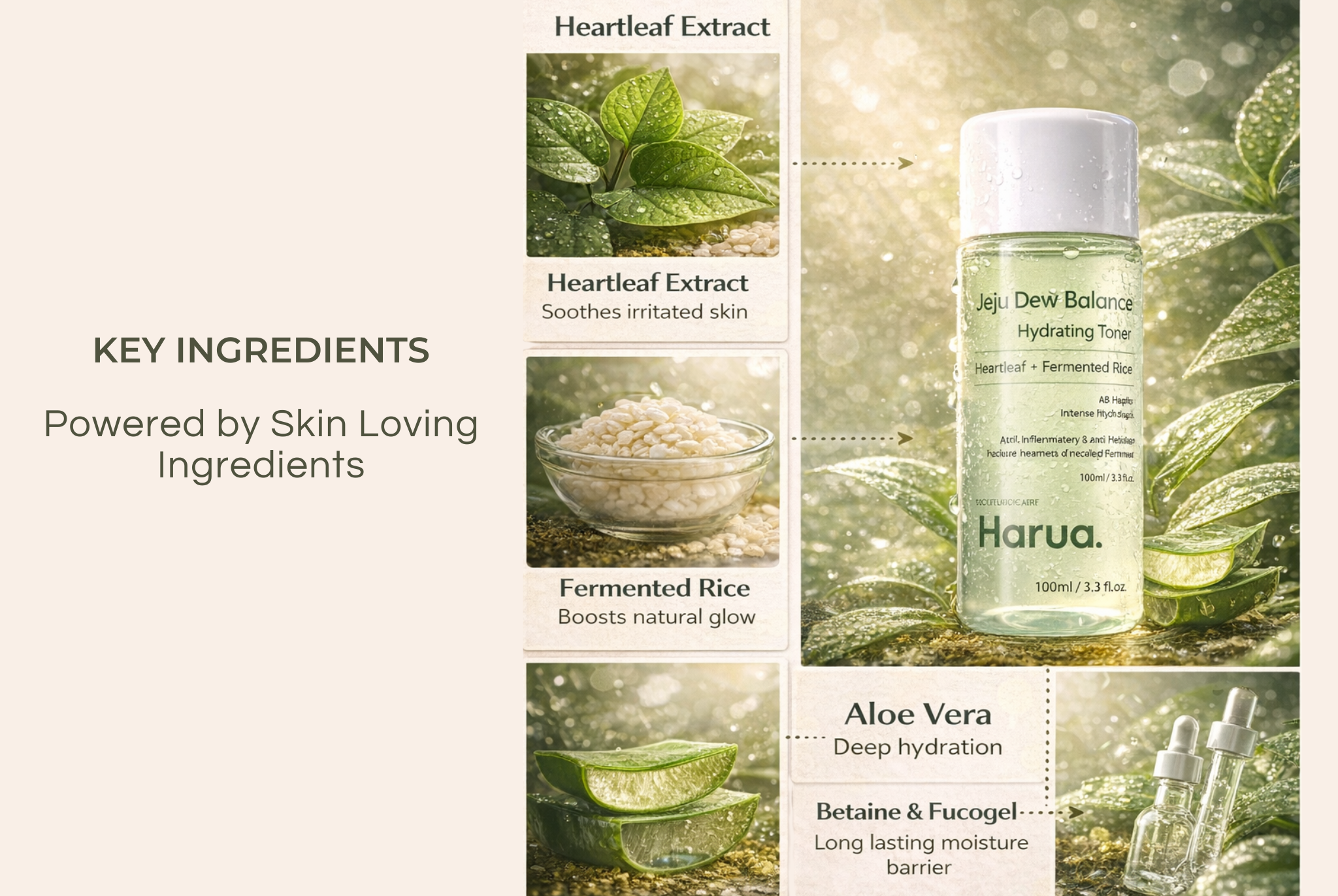 Harua Jeju Dew Balance Hydrating Toner | Heartleaf + Fermented Rice
